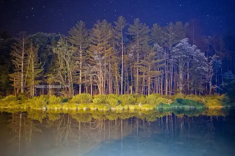 4内置壁纸 唯美精致 打包下 - 华为a199主题美化 花粉俱乐部