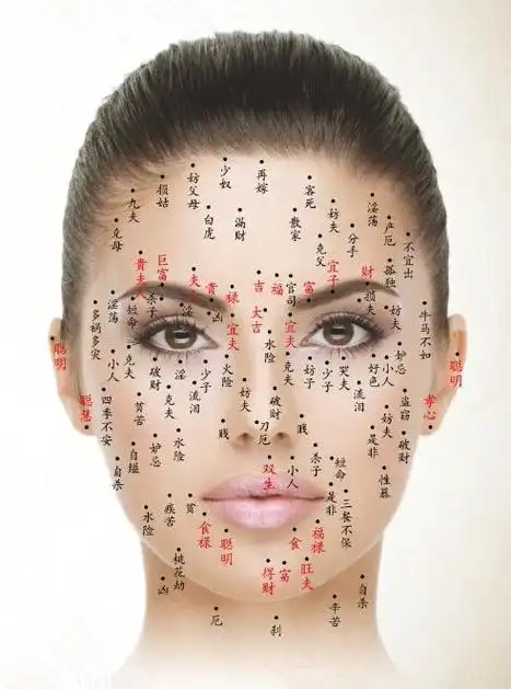 九天易数:脸上痣相吉凶全图
