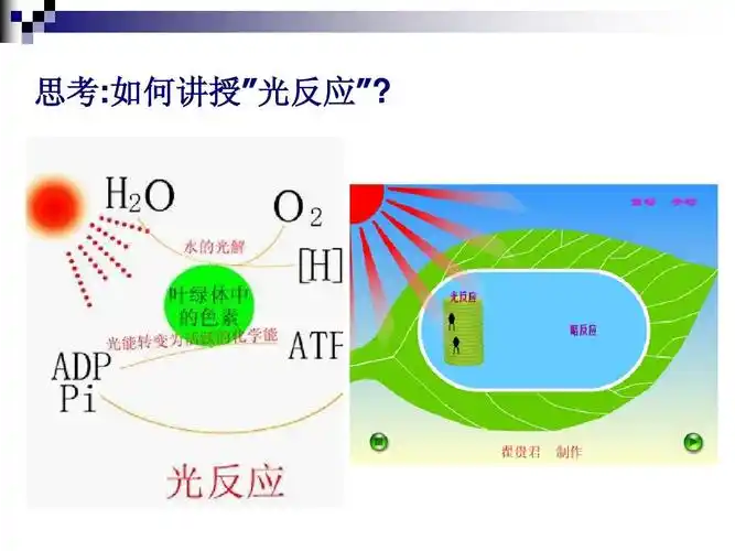 思考:如何讲授"光反应"?