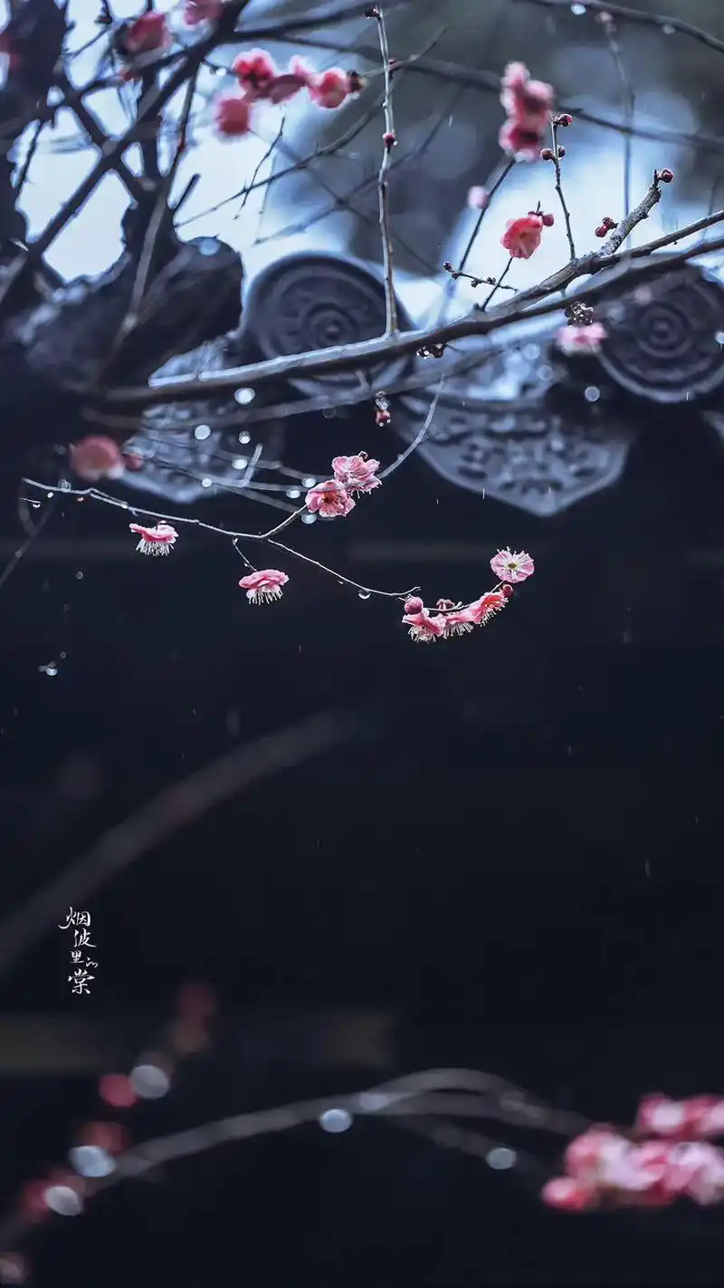 一听这个音乐,有种莫名的伤感#唯美古风壁纸 #国风古韵 #治 - 抖音