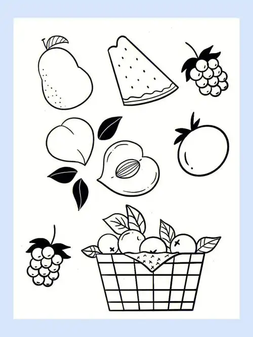 简笔画|水果