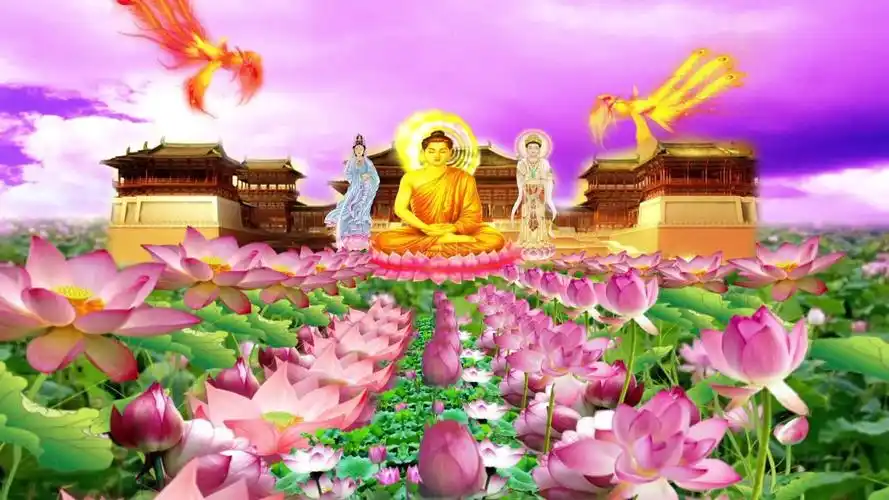 荷花大佛菩萨_1280x720_高清视频素材下载(编号:1012103)_舞台背景_vj