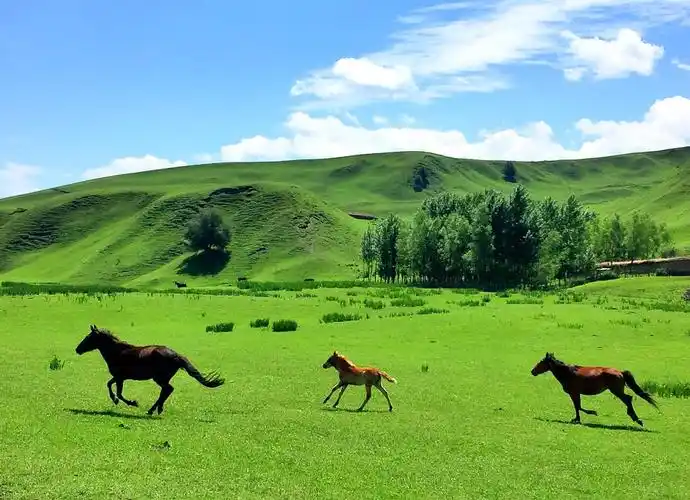 2023那拉提旅游风景区游玩攻略,值得一去的空中草原那拉提!