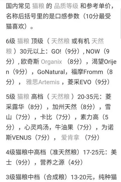 【美短】美国短毛猫多少钱一只? 体长比身高稍长(身高是指从侧