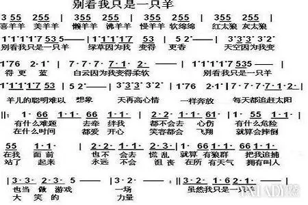 喜羊羊与灰太狼主题曲别看我只是一只羊词曲大全