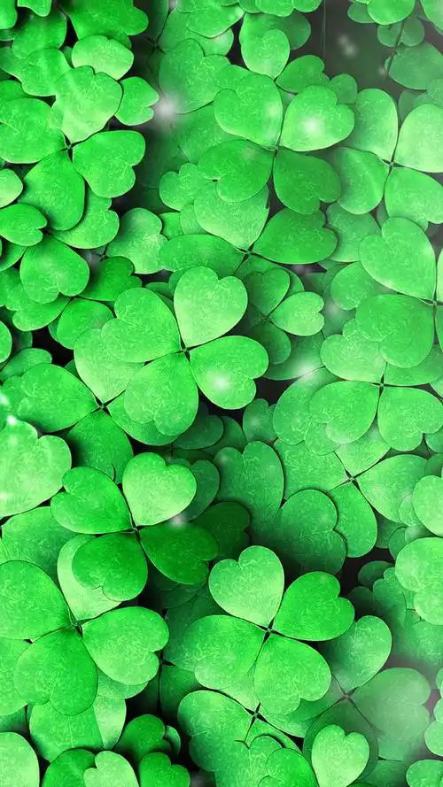 2021#幸运四叶草,心想事成,万事如意!