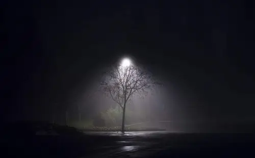 我醒在孤独最深的夜里,静静的看着窗外的月亮,思绪在迷茫的天际游走