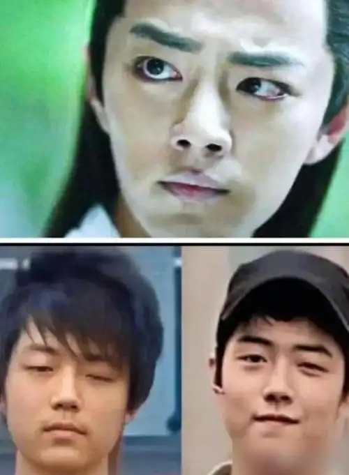 肖战到底整容了多少处?他的生图和素颜真有粉吹得那么高吗?