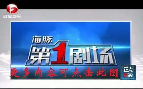 安徽卫视海豚第一剧场在线直播