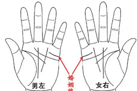 怎么看婚姻线是否二婚 婚姻线图解大全