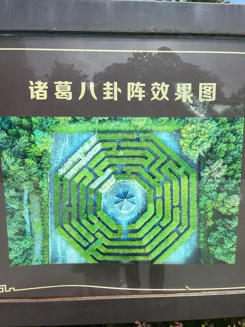 诸葛八卦阵,我确定我可以走出来!