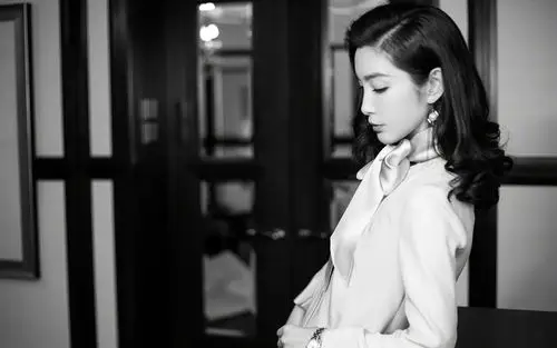 李冰冰写真桌面壁纸55