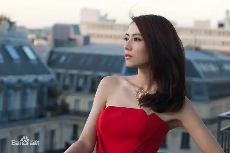 高圆圆洋装 - 堆糖,美图壁纸兴趣社区