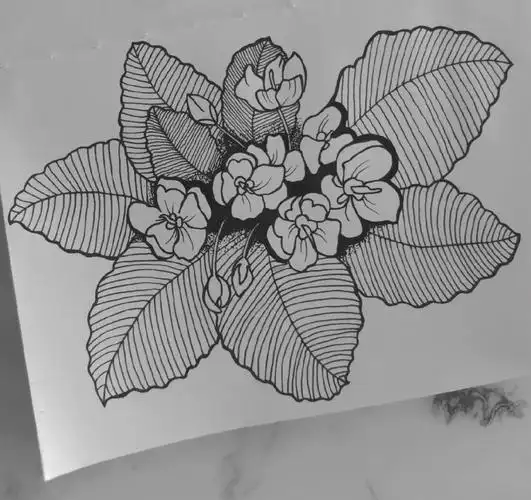 零基础学画画37紫罗兰