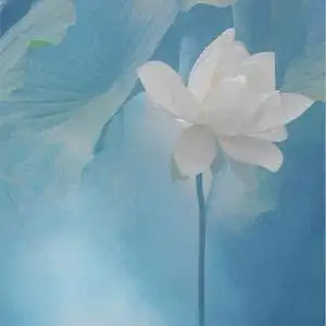 微信头像古风意境图片 高清古风微信头像有意境好看