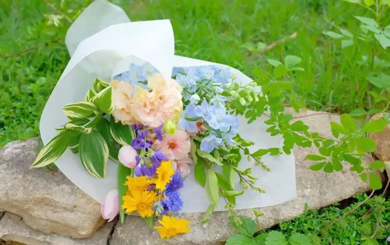 ins潮图朋友圈背景图/高质量/神仙背景/wb - 堆糖,美图壁纸兴趣社区