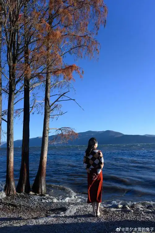 在大理爱上生活##微博旅游之夜##100张年度旅行照片