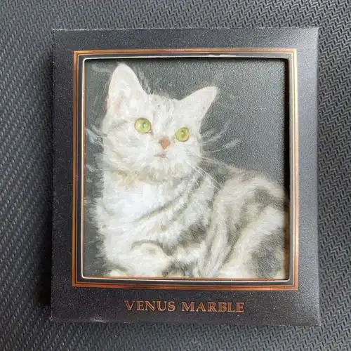 彩妆分享venusmarble猫系列眼影盘4