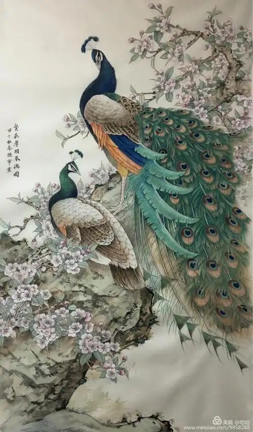 陈军老师工笔画孔雀分段图