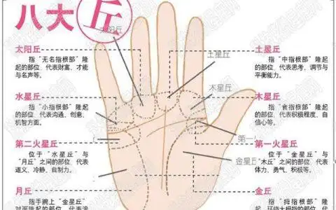 手掌心中有几条财运线,天生富贵命的手纹!