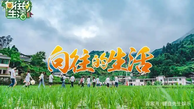 向往的生活6播出满屏尴尬广告植入仍有品牌突破套路