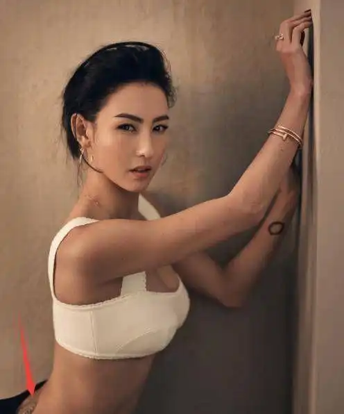 张柏芝:最隐私的三张照片,藏着谢霆锋都没见过,网友:谁受得了|王菲