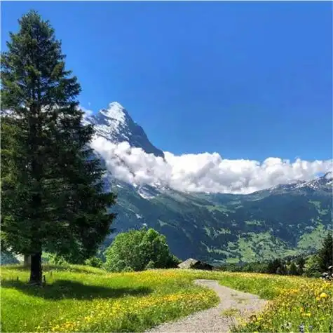 抖音图片最火头像风景