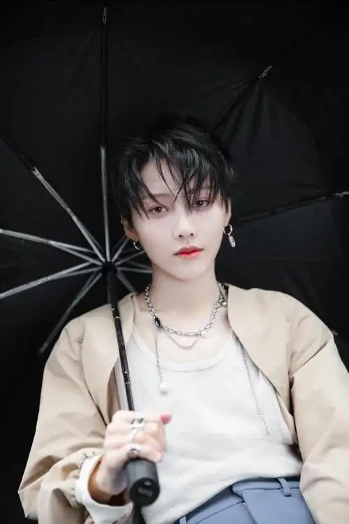 刘雨昕陆柯燃粉丝助力乡村振兴为欠发达地区乡村捐助1盏太阳能路灯