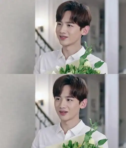 井柏然白敬亭张若昀,白敬亭李沁合作 - 注册公司