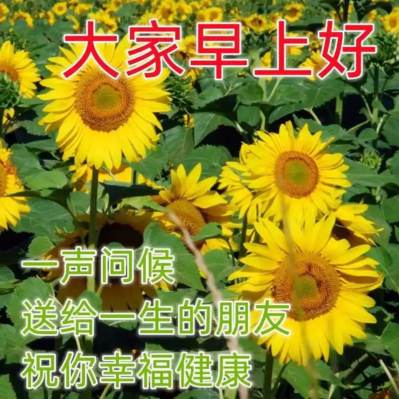 最美早安问候祝福图片 最新漂亮早上好图片