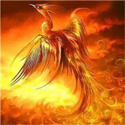 火凤凰图片漂亮凤凰图片超酷炫火凤凰唯美头像图片大全