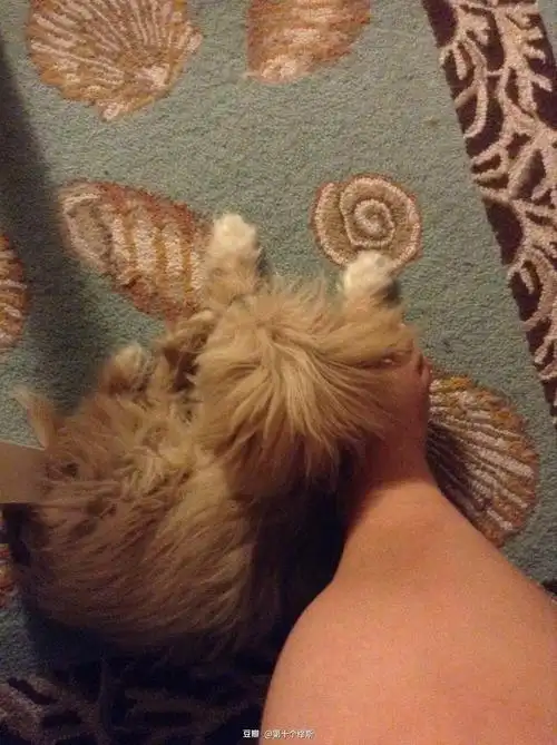 睡觉也要挨着妈妈的脚丫子!