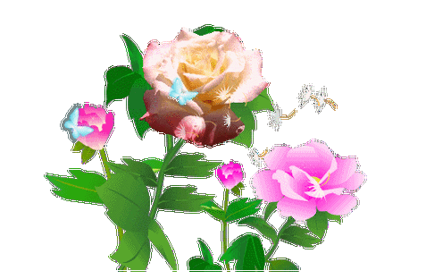 秋思梦境自制透明gif图片花草系列