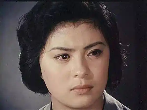 17岁演反特电影《黑三角》,因《任长霞》获奖,国家一级演员刘佳