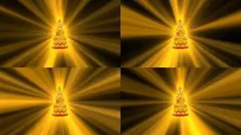 佛主菩萨金光四射