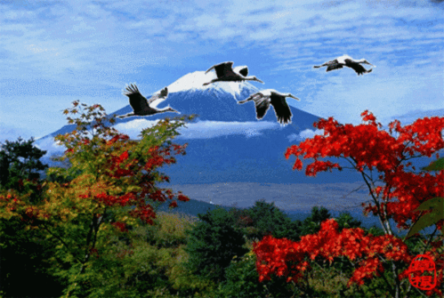 鸟语花香风景如画