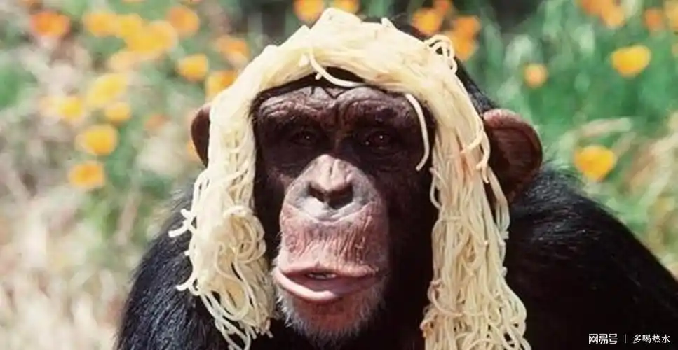 搞笑段子男人越丑跟他聊天时就越轻松