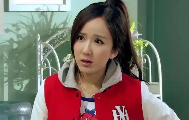 爱情公寓15年有人转型有人消失有人被捕有人退网