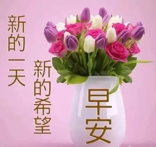 11张夏天特好看的日出早安图片带字最新清晨早上好温馨问候语免打字