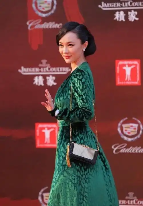 41岁的霍思燕为了成为红毯焦点也是够拼的,v领旗袍的开叉