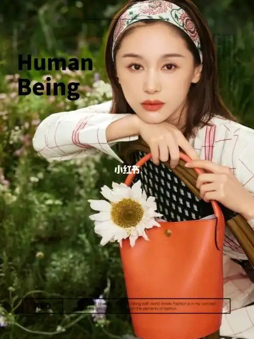 王子文小姐姐珑骧同款包包