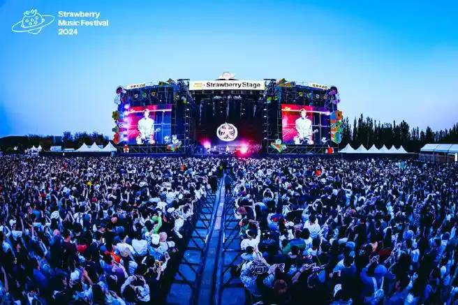 北京草莓音乐节##大张伟深圳演唱会