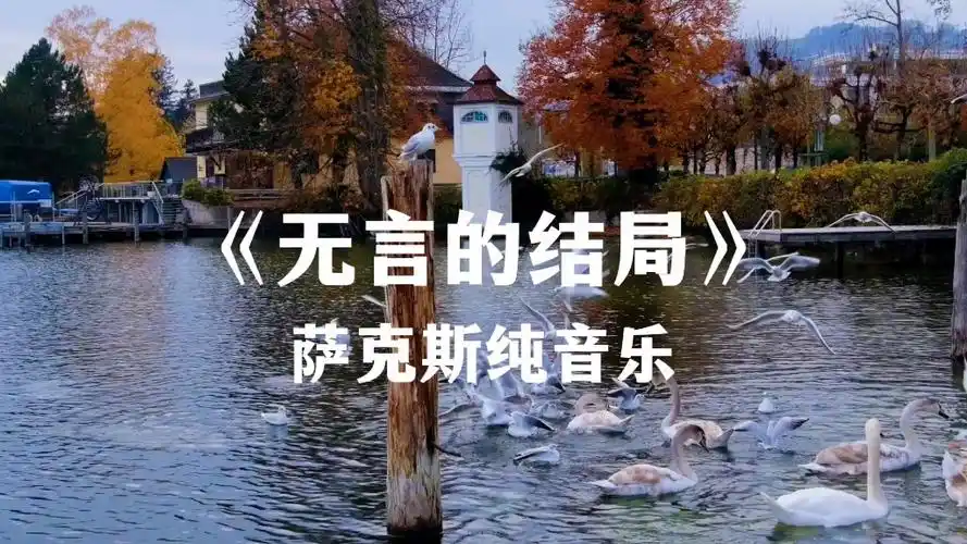 萨克斯纯音乐《无言的结局》