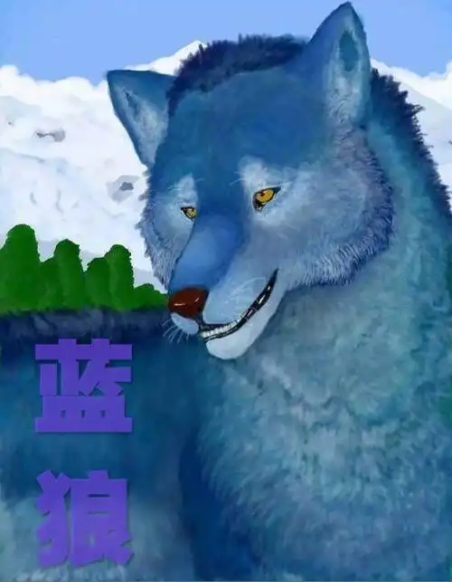 蓝狼妙语戏春风【临县秧歌】