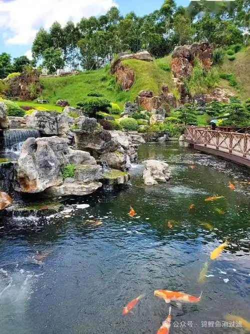 常见的园林景观水系设计形式