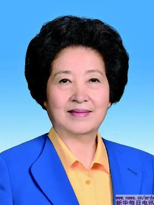 国务院副总理简历