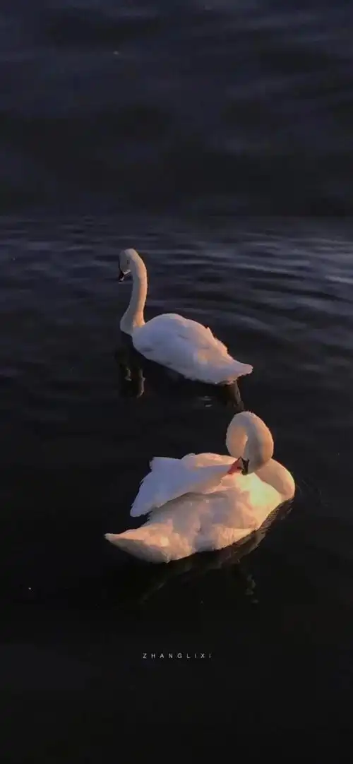 全民k歌背景图red希希侵删