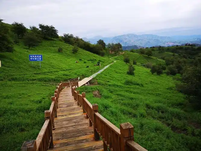 中华福寿山20190707