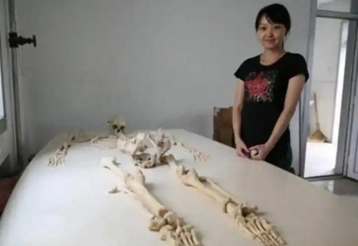 人死后,多久才能化为一堆白骨?看完涨知识了