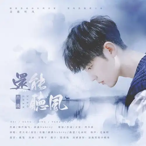 还能听风——2020夏·致肖战